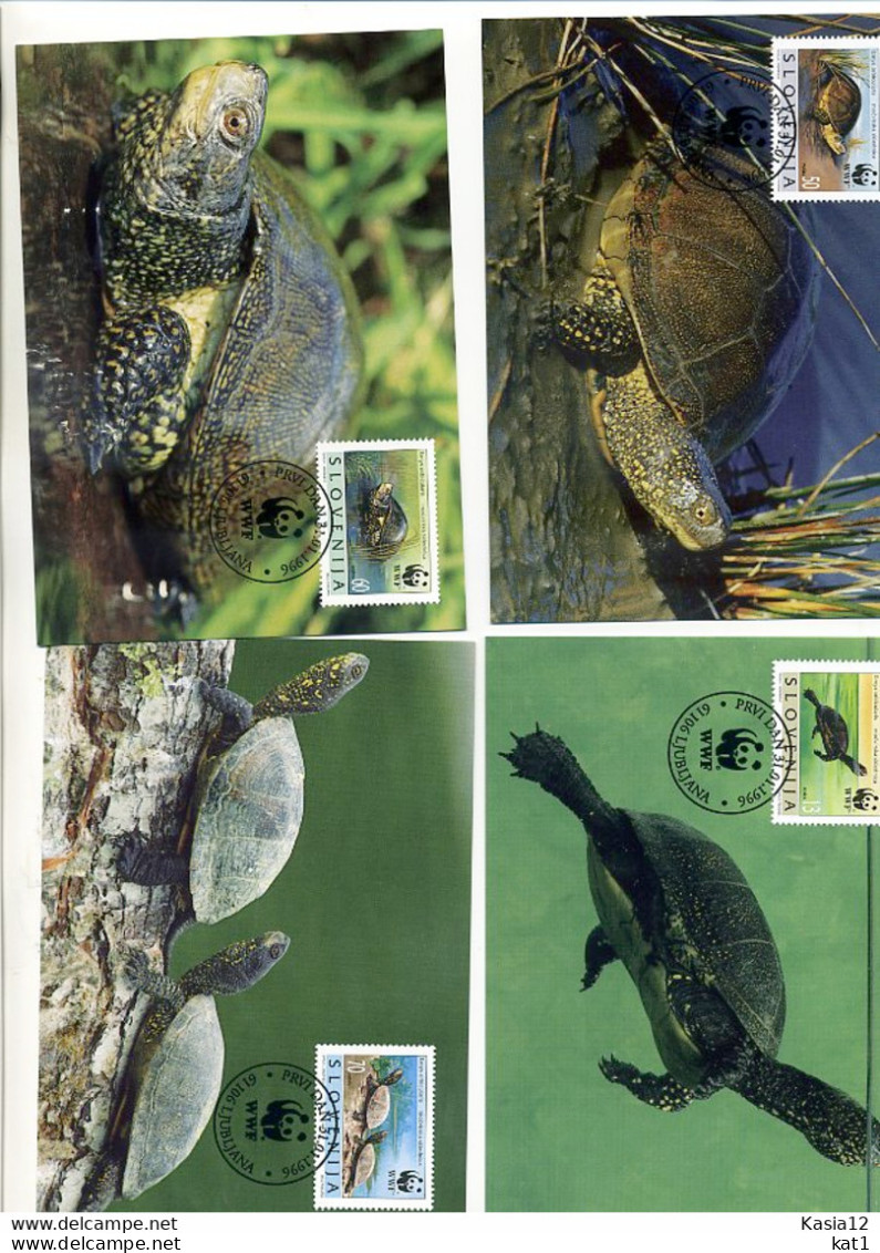 A41599)WWF-Maximumkarte Reptilien: Slowenien 131 - 134 - Cartes-maximum