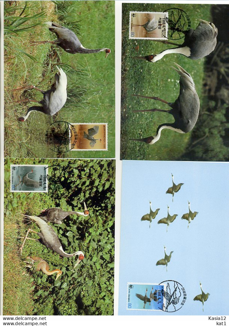 A41668)WWF-Maximumkarte Vogel: Suedkorea 1553 - 1556 - Tarjetas – Máxima
