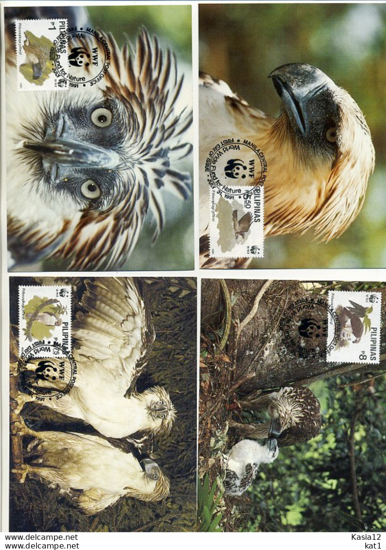 A41703)WWF-Maximumkarte Vogel: Philippinen 2038 - 2041 - Maximum Cards