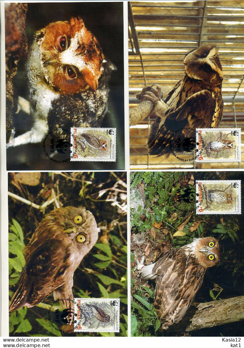 A41704)WWF-Maximumkarte Vogel: Philippinen 3593 - 3596 - Maximumkarten