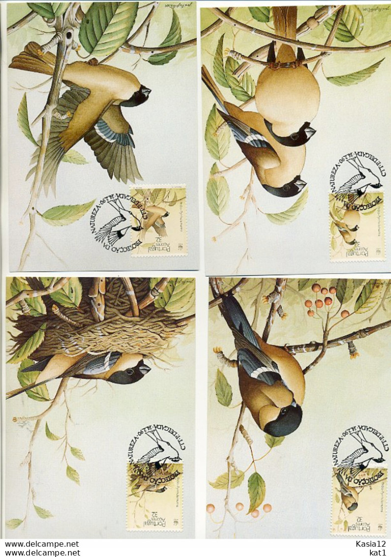 A41708)WWF-Maximumkarte Vogel: Azoren 405 - 408 - Maximum Cards