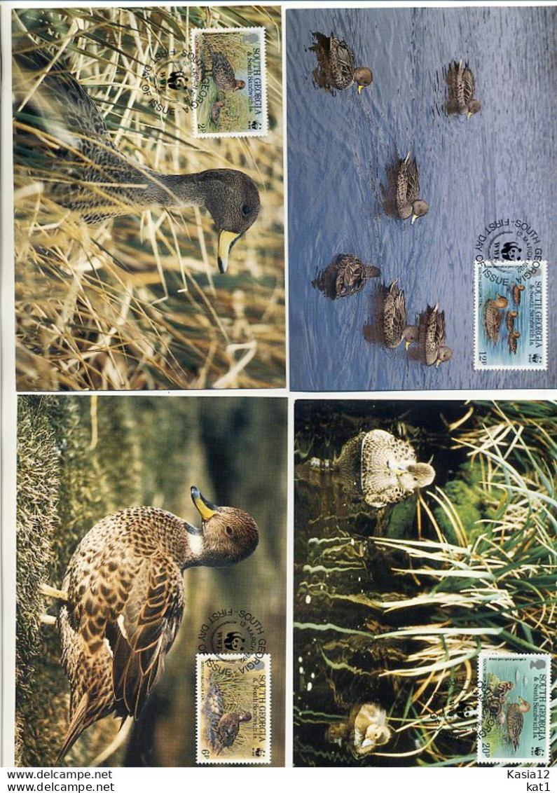 A41726)WWF-Maximumkarte Vogel: Suedgeorgien 203 - 206 - Cartes-maximum