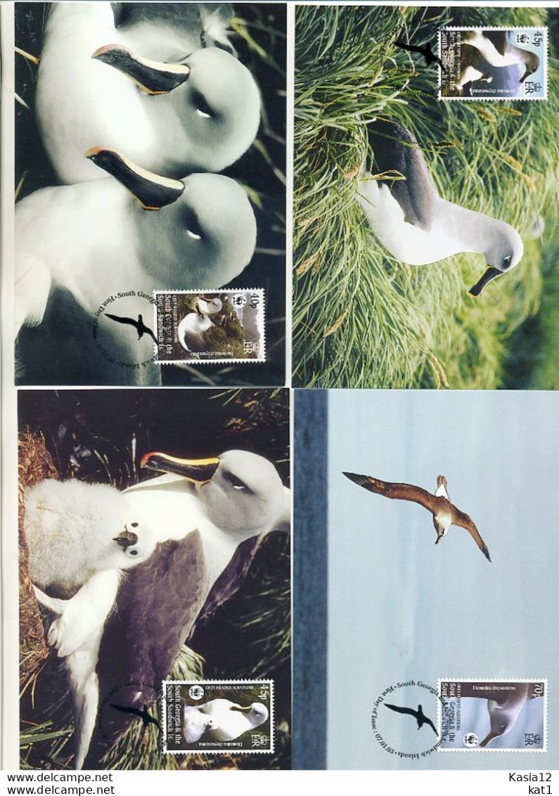 A41727)WWF-Maximumkarte Vogel: Suedgeorgien 357 - 360 - Maximum Cards