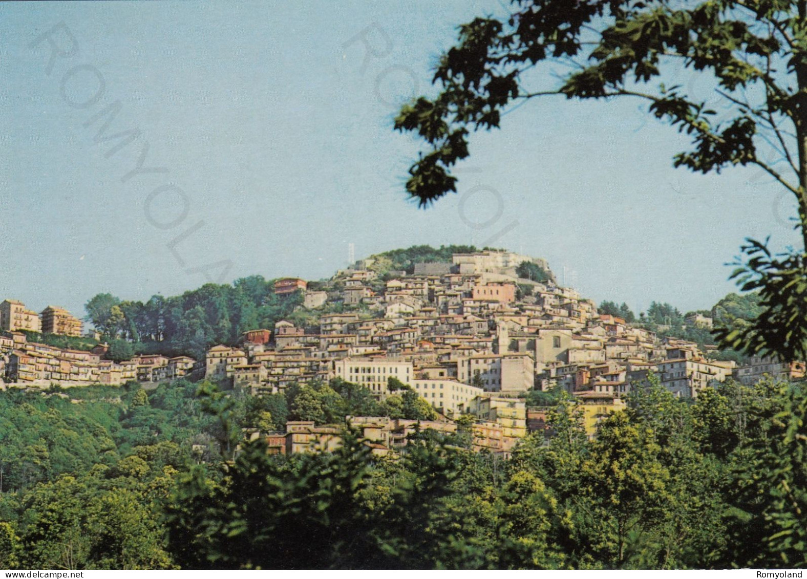 CARTOLINA  ROCCA DI PAPA,ROMA,LAZIO-PANORAMA-STORIA,MEMORIA,CULTURA,RELIGIONE,IMPERO ROMANO,BELLA ITALIA,NON VIAGGIATA - Tarjetas Panorámicas