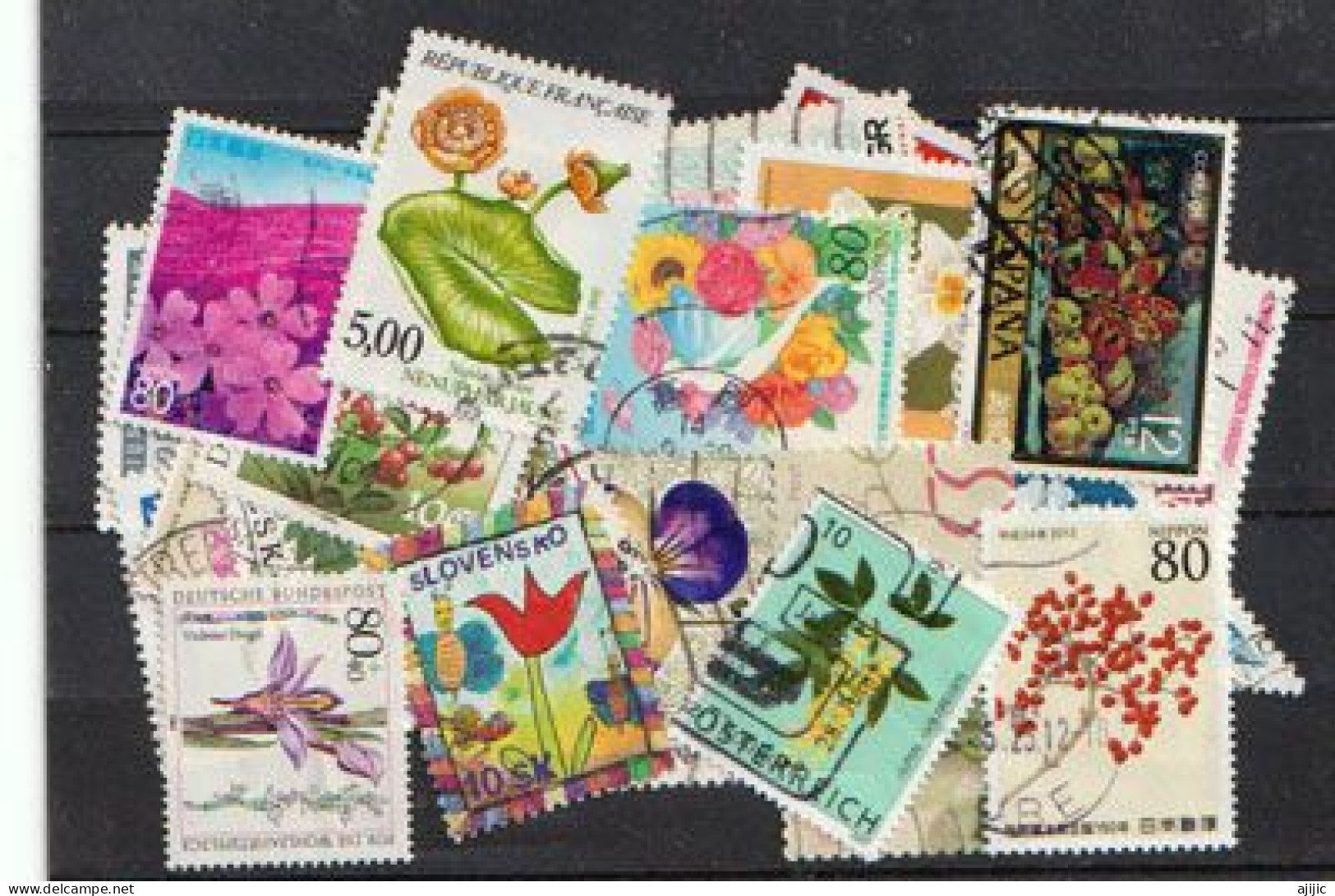 FLEURS.Beau Lot De 25 Timbres Oblitérés Différents, Tous Differents, Tous Grands Formats  # 6 - Mezclas (max 999 Sellos)