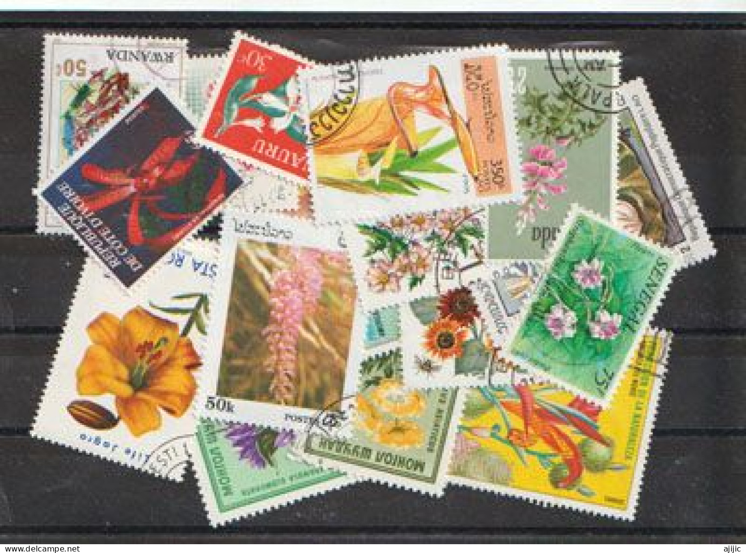 FLEURS.Beau Lot De 25 Timbres Oblitérés Différents, Tous Differents, Tous Grands Formats  # 8 - Mezclas (max 999 Sellos)