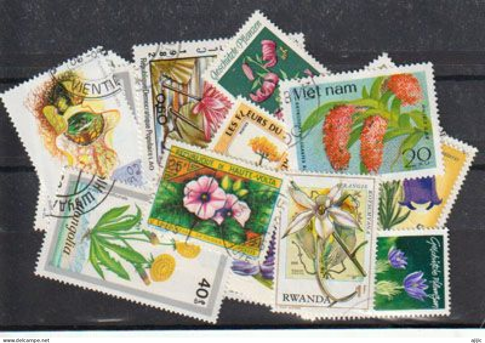 FLEURS.Beau Lot De 25 Timbres Oblitérés Différents, Tous Differents, Tous Grands Formats  # 9 - Mezclas (max 999 Sellos)