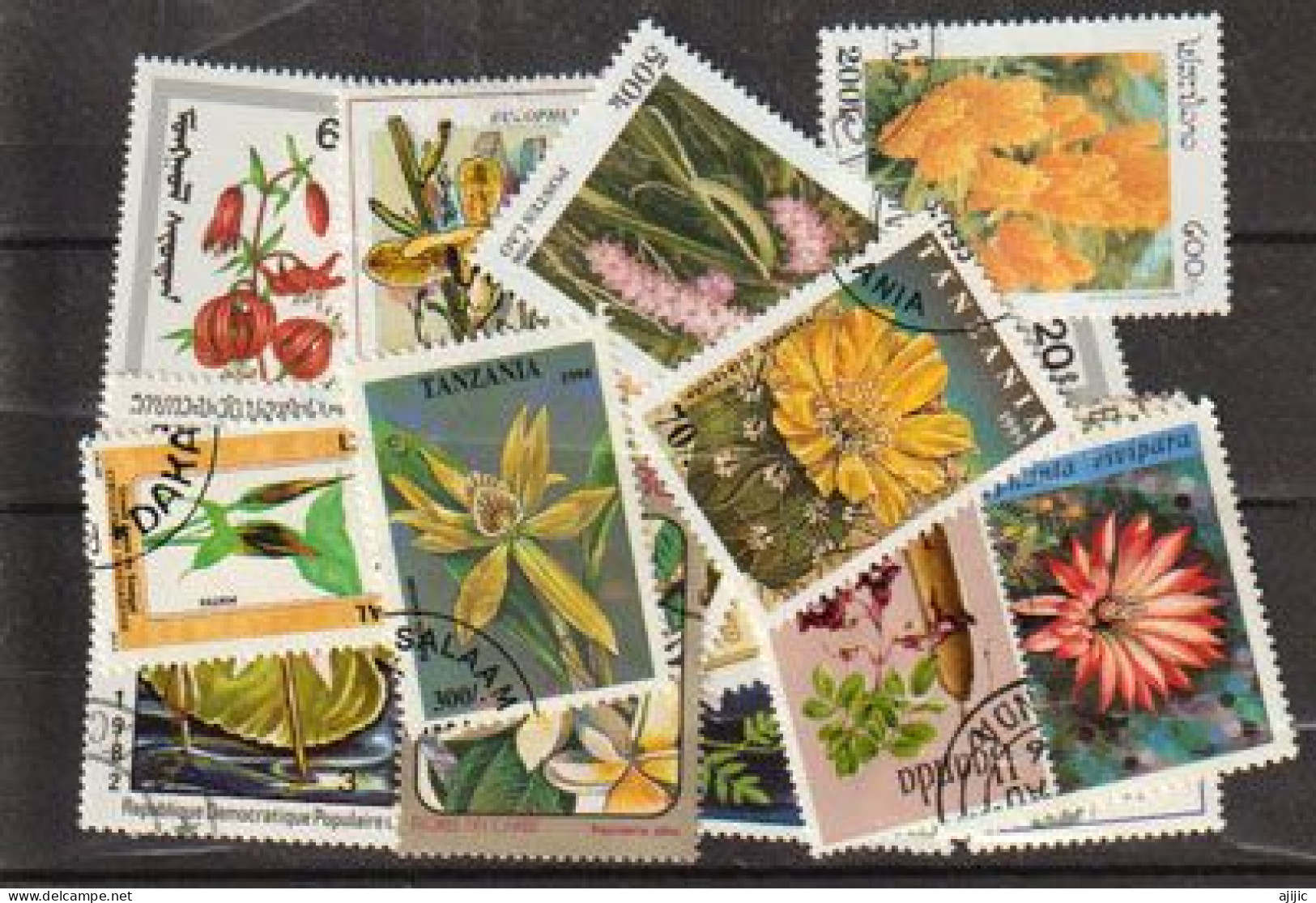 FLEURS. Beau Lot De 25 Timbres Oblitérés Différents, Tous Differents, Tous Grands Formats  # 10 - Mezclas (max 999 Sellos)