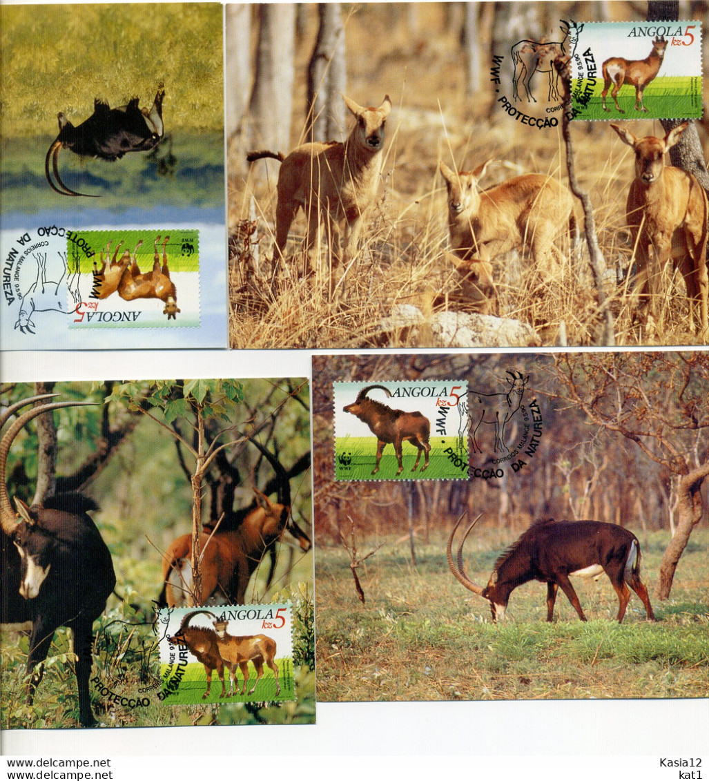 A45107)WWF-Maximumkarte Saeugetiere: Angola 799 - 802 - Cartes-maximum