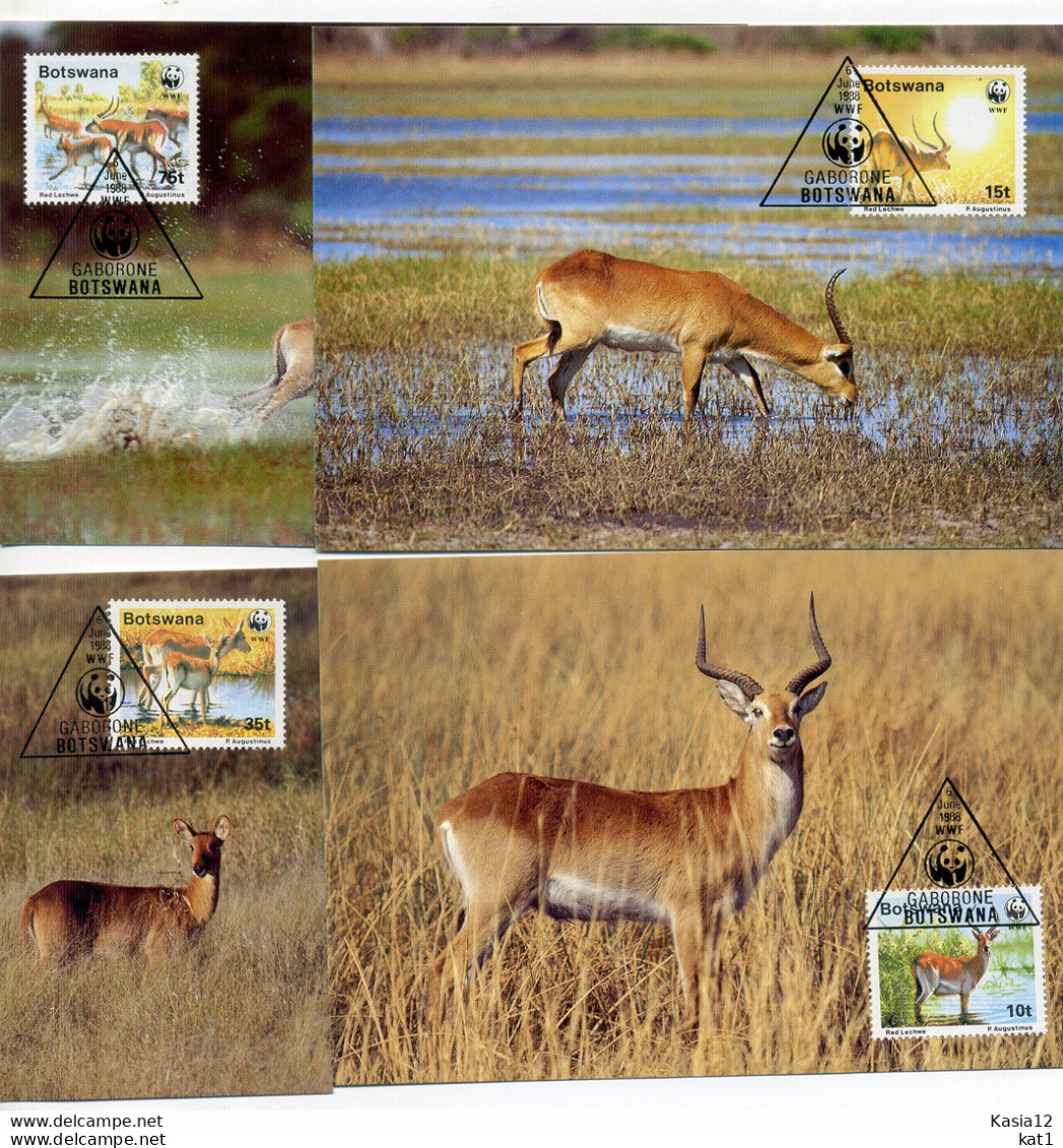 A45112)WWF-Maximumkarte Saeugetiere: Botswana 431 - 434 - Cartes-maximum
