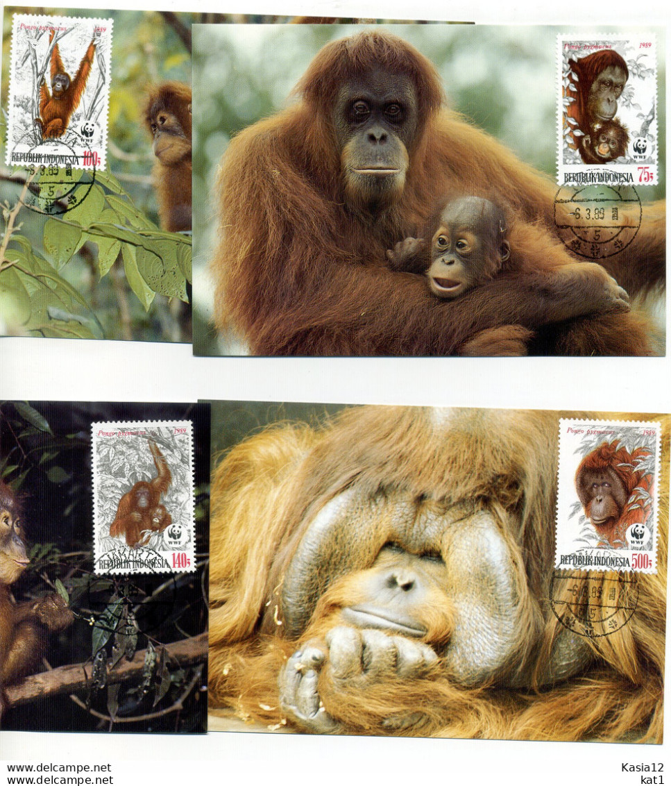A45127)WWF-Maximumkarte Saeugetiere: Indonesien 1291 - 1294 - Cartes-maximum