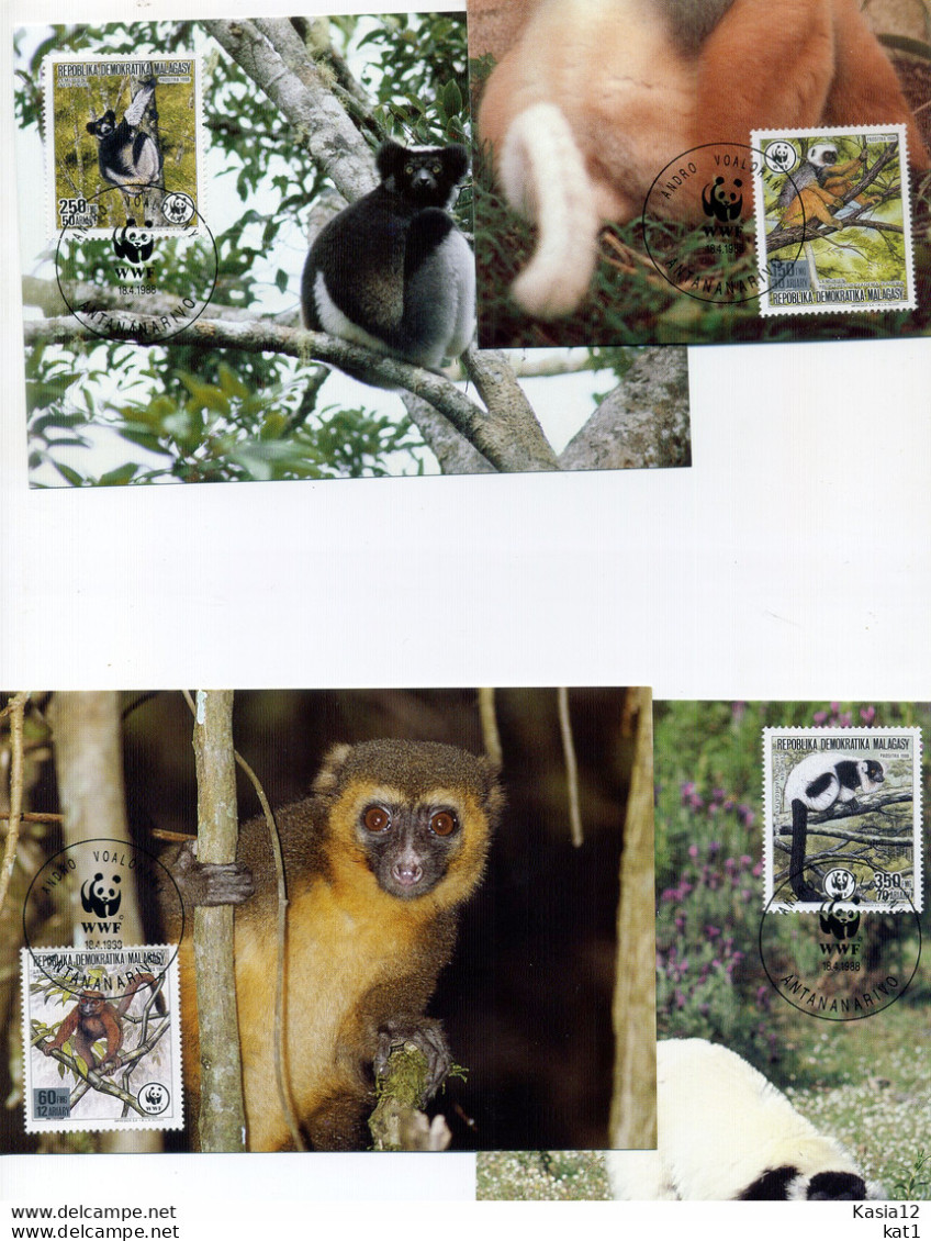 A45136)WWF-Maximumkarte Saeugetiere: Madagaskar 1110 - 1113 A - Cartes-maximum