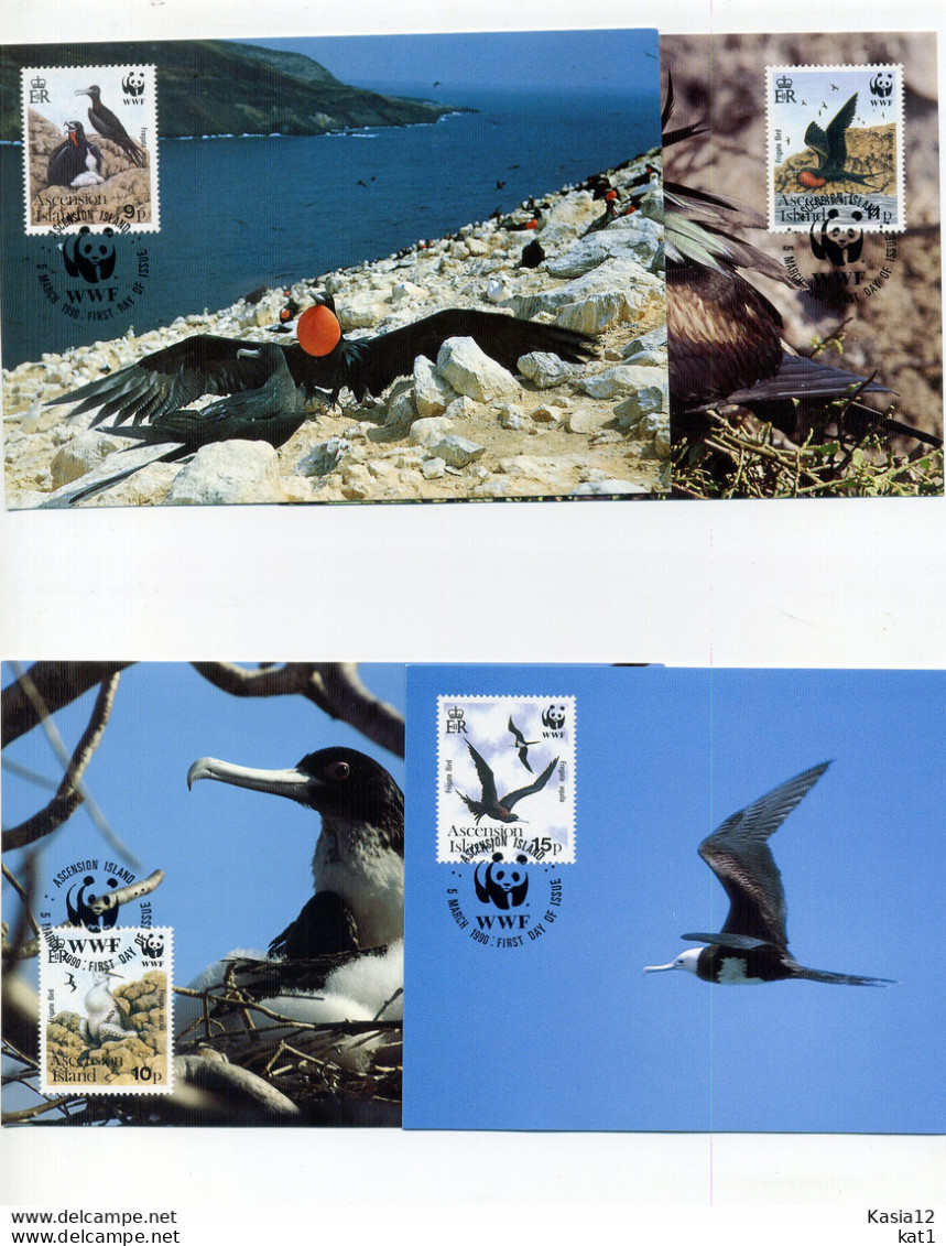 A45165)WWF-Maximumkarte Vogel: Ascension 521 - 524 - Cartes-maximum