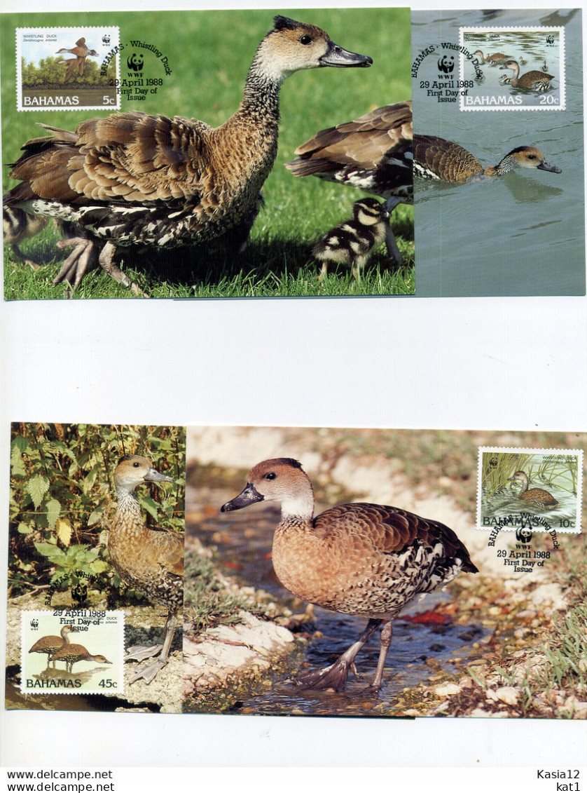 A45166)WWF-Maximumkarte Vogel: Bahamas 672 - 675 - Cartes-maximum