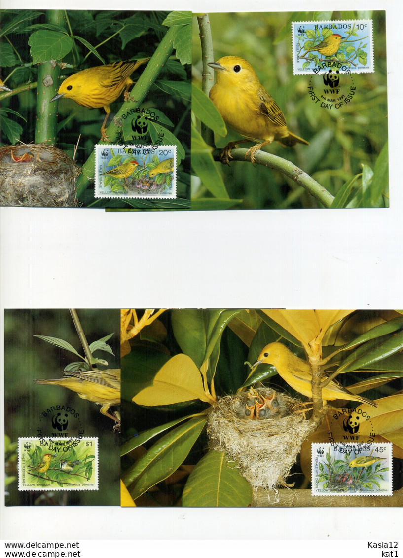 A45168)WWF-Maximumkarte Vogel: Barbados 770 - 773 - Cartes-maximum