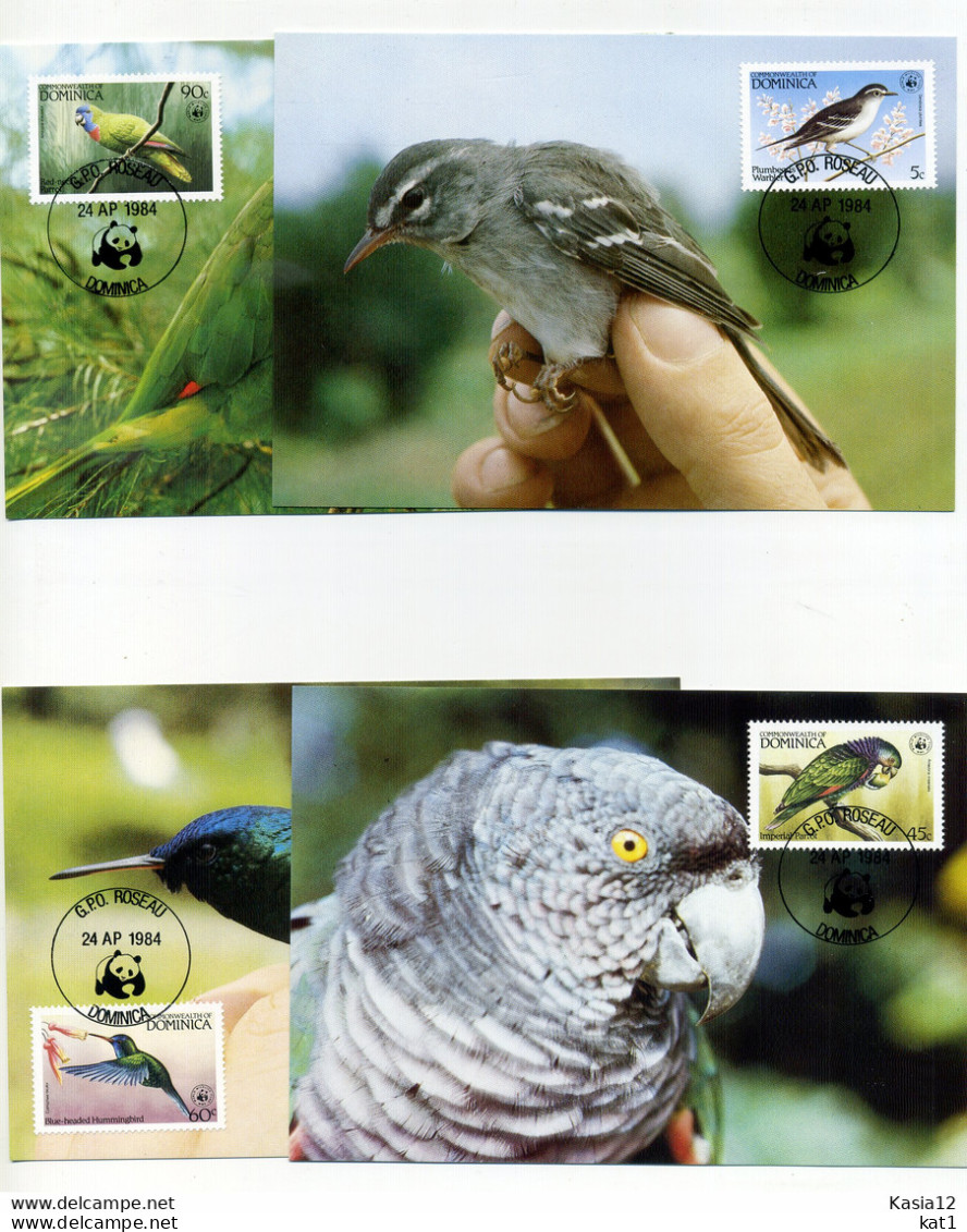 A45172)WWF-Maximumkarte Vogel: Dominica 836 - 839 - Cartes-maximum