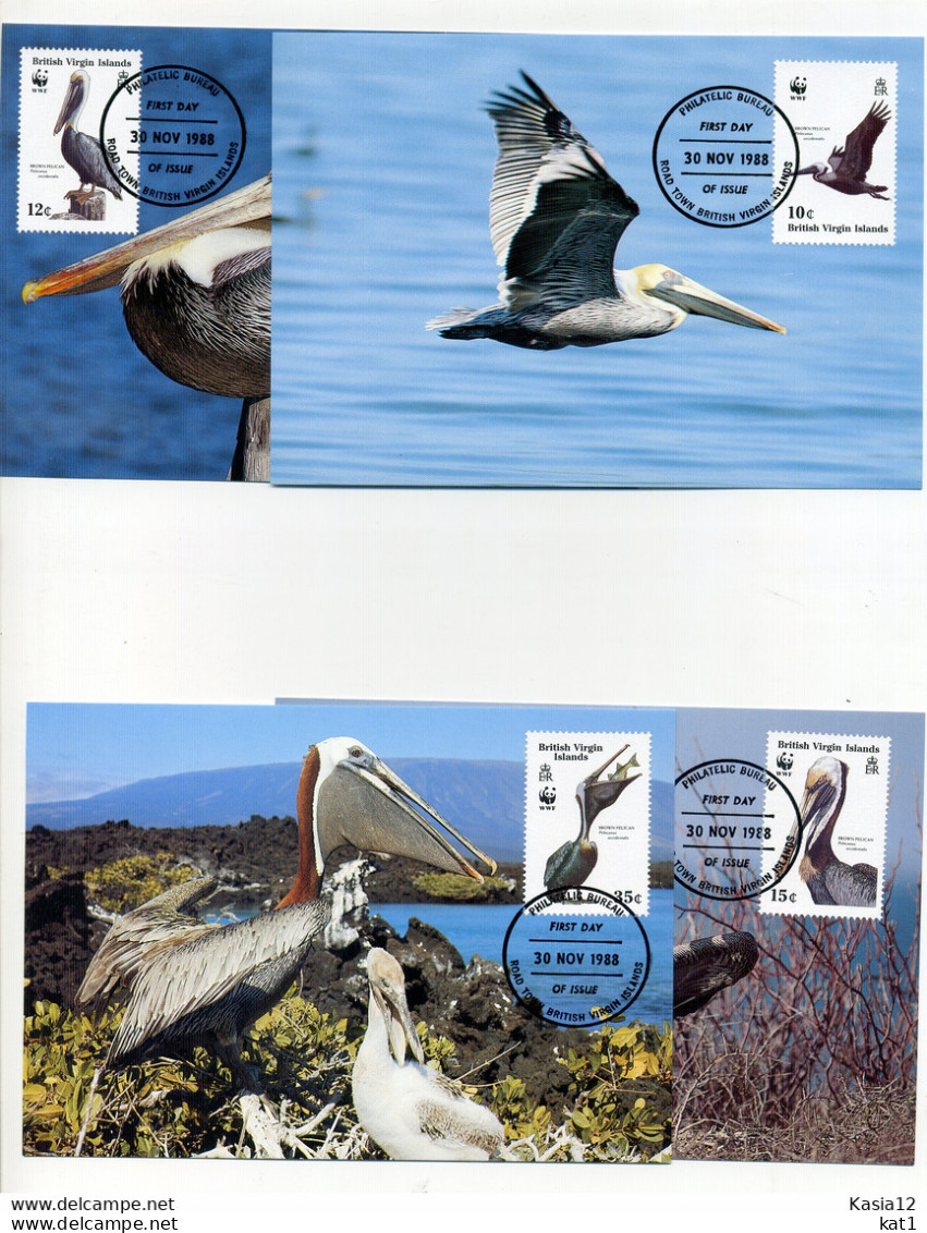 A45179)WWF-Maximumkarte Vogel: Jungferninseln 637 - 640 - Cartes-maximum