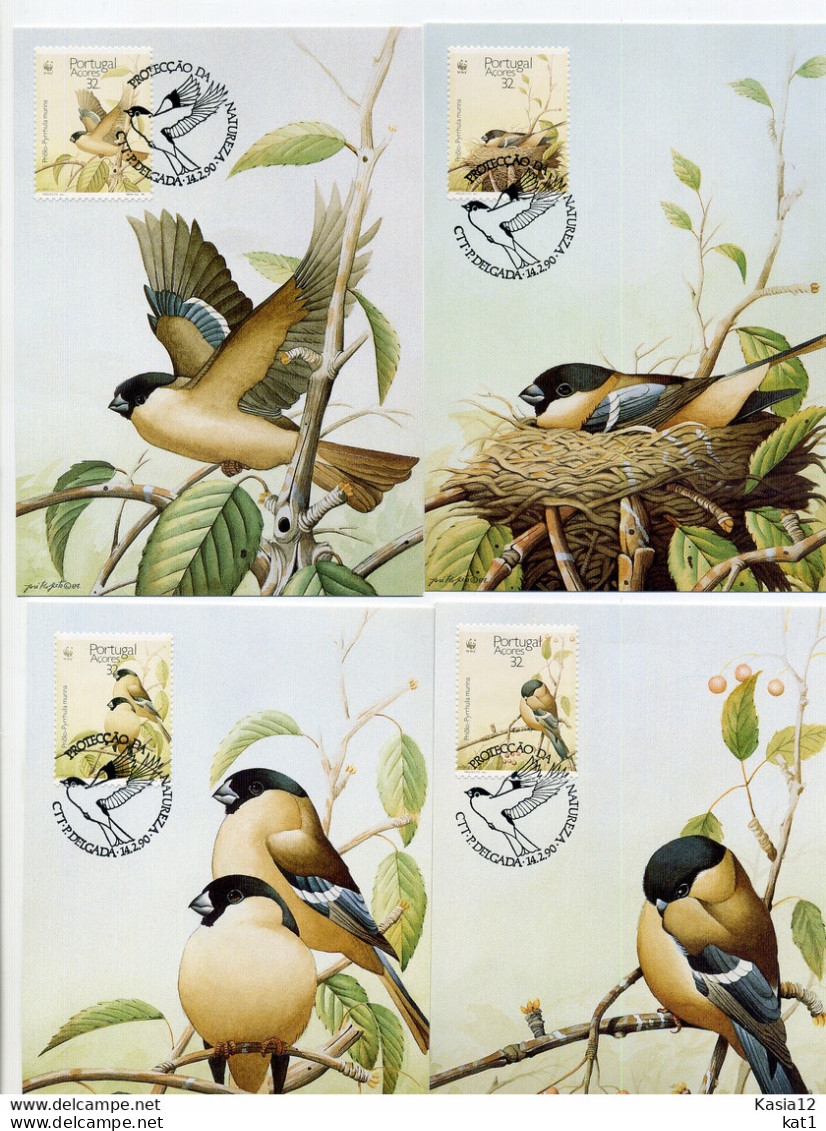 A45194)WWF-Maximumkarte Vogel: Azoren 405 - 408 - Cartes-maximum