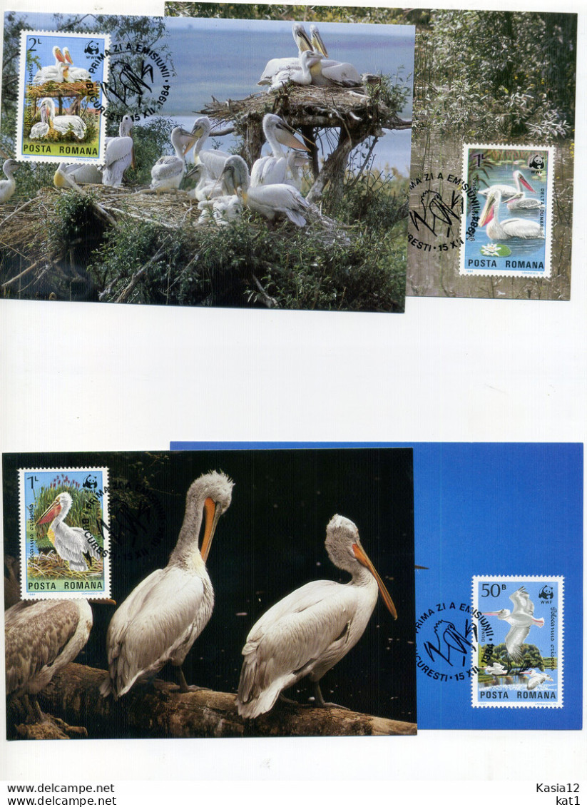 A45196)WWF-Maximumkarte Vogel: Rumaenien 4104 - 4107 - Cartes-maximum