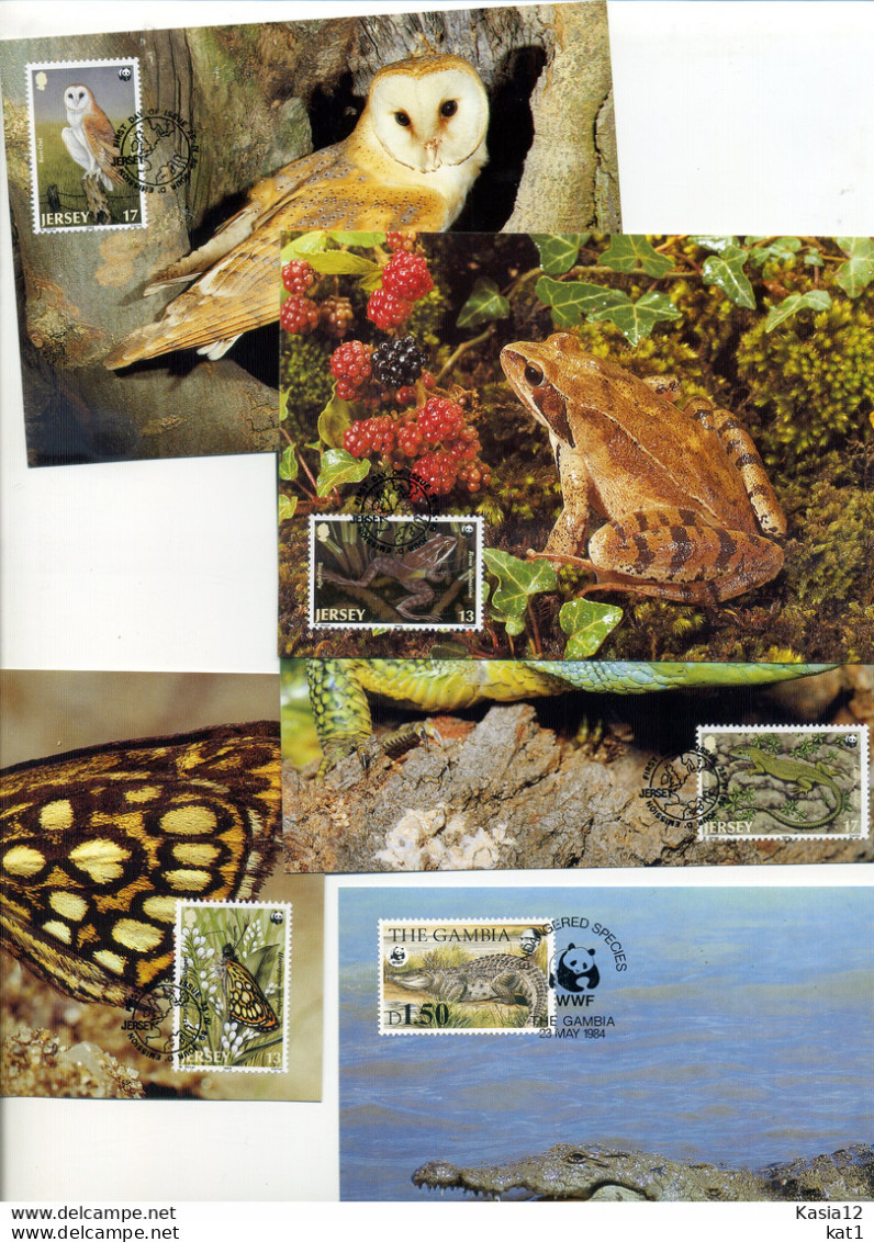 A45218)WWF-Maximumkarte Reptilien: Gambia 517 - 520 - Cartes-maximum