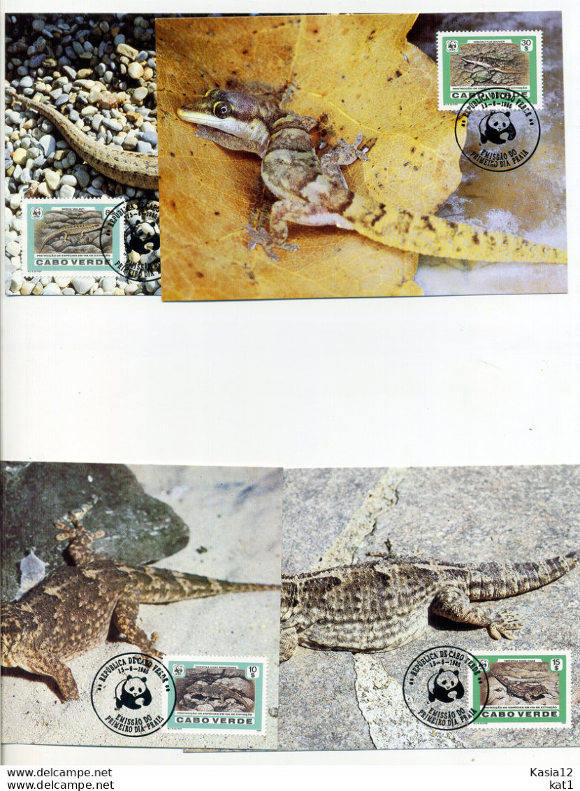A45219)WWF-Maximumkarte Reptilien: Kap Verde 500 - 503 - Cartes-maximum