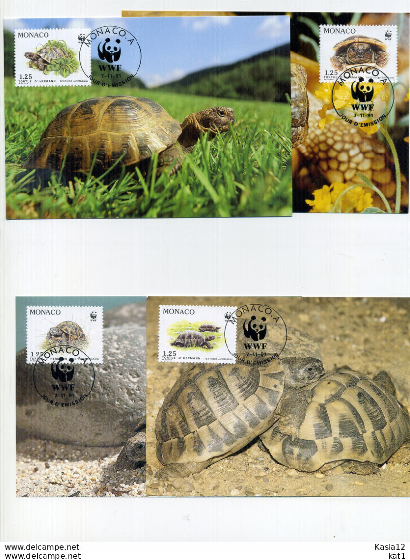 A45221)WWF-Maximumkarte Reptilien: Monaco 2046 - 2049 - Maximumkarten