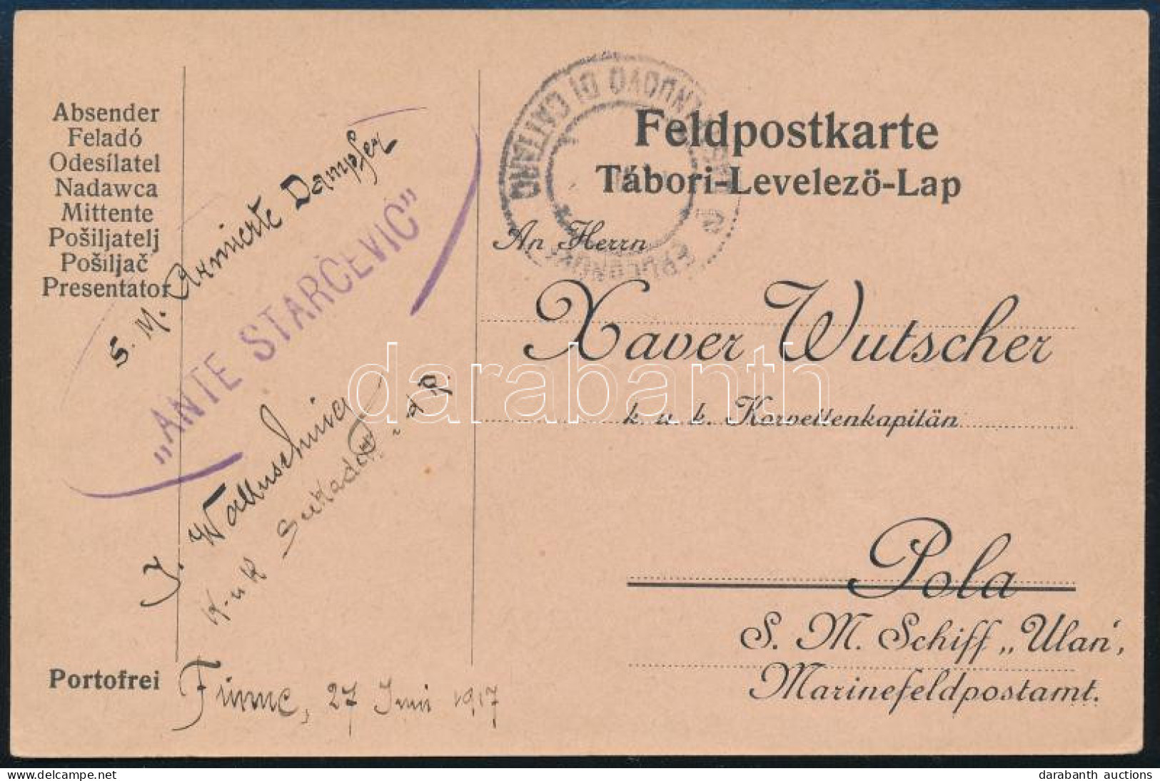 1917 Tábori Posta Levelezőlap "ERCEGNOVI A CASTELNUOVO DI CATTARO" + "S.M. Armierte Dampfer ANTE STARCEVIC" - Autres & Non Classés