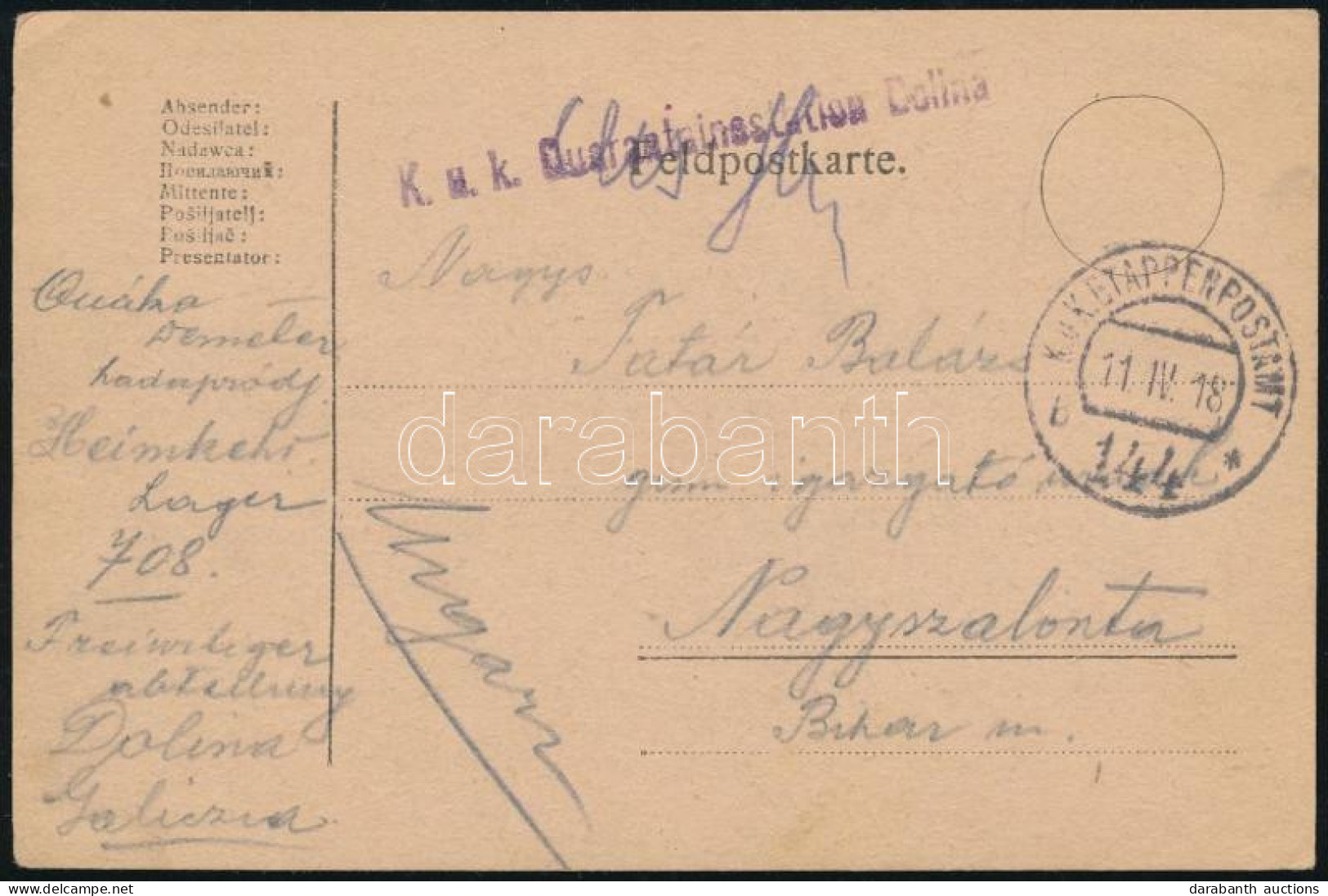 1918 Tábori Posta Levelezőlap "K.u.k. Quarantainestation Dolina" + "EP 144 B" - Altri & Non Classificati