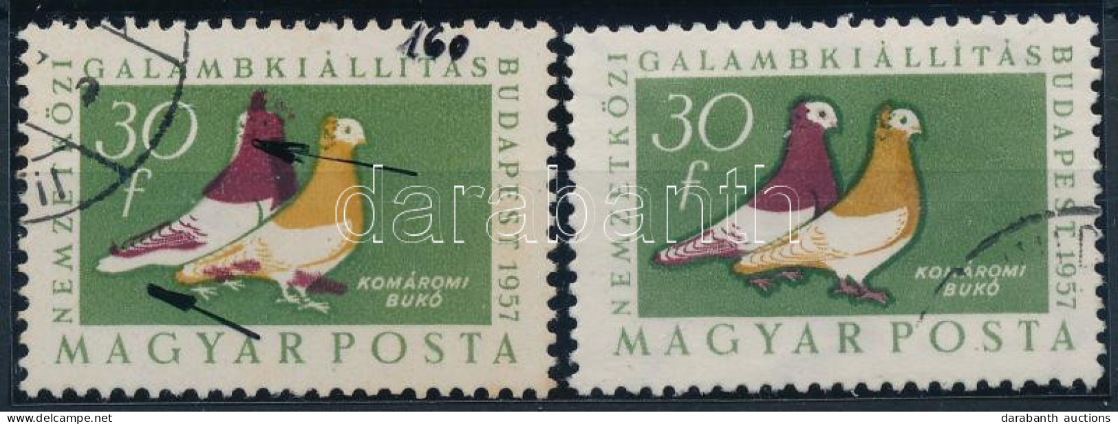 O 1957 Magyarországi Galambfajták 30f A Barna Szín Látványosan Fölfelé Tolódott + Támpéldány / Mi 1505 Shifted Brown Col - Altri & Non Classificati