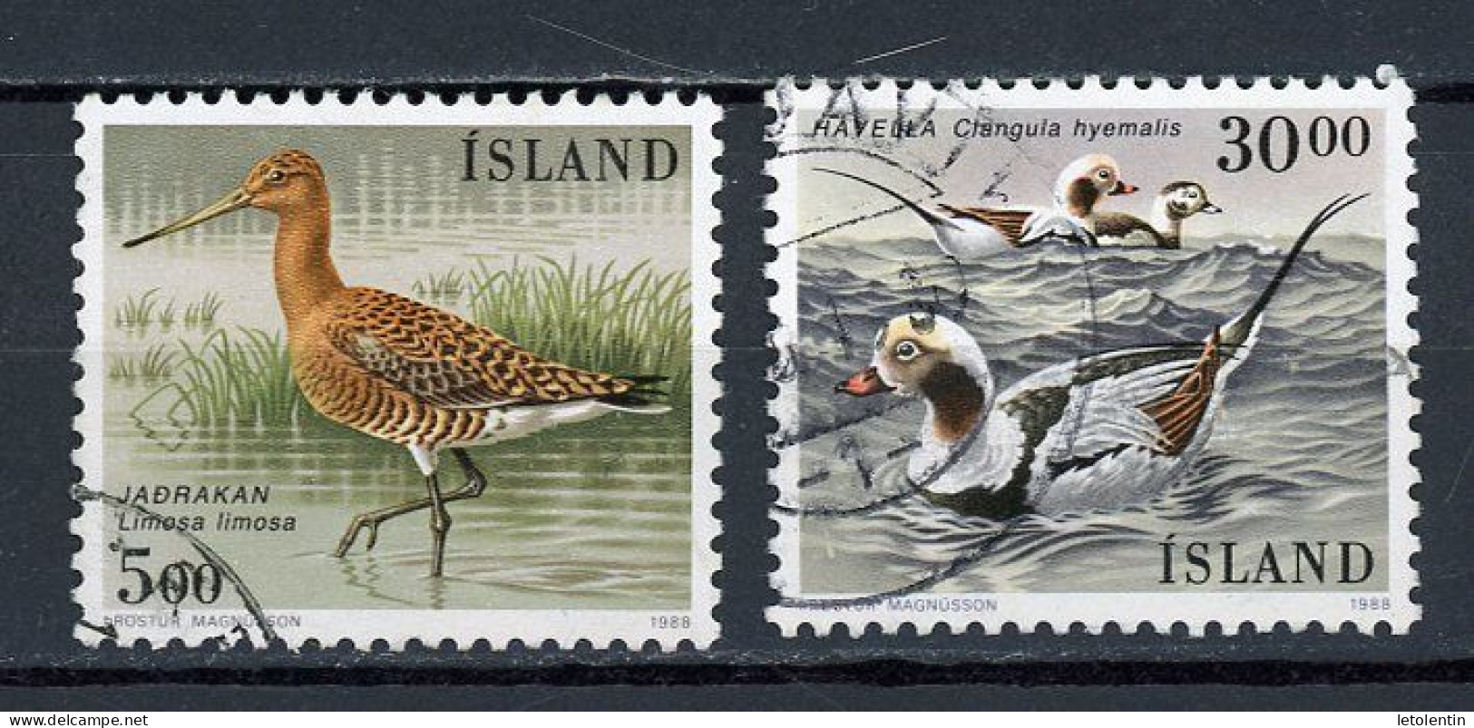 ISLANDE -  OISEAUX  - N° Yvert 644+645 Obli. - Used Stamps