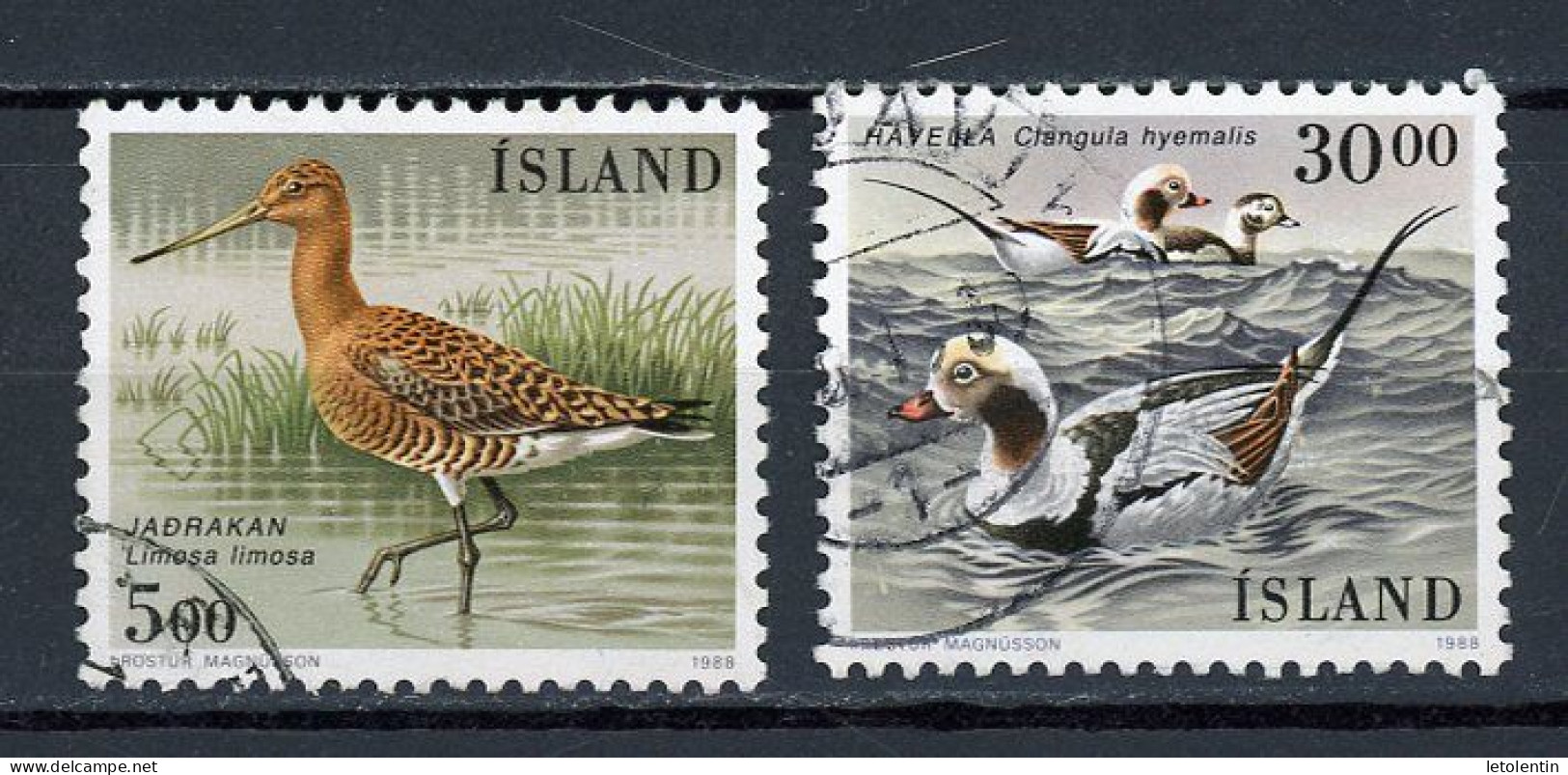 ISLANDE -  OISEAUX  - N° Yvert 644+645 Obli. - Usati