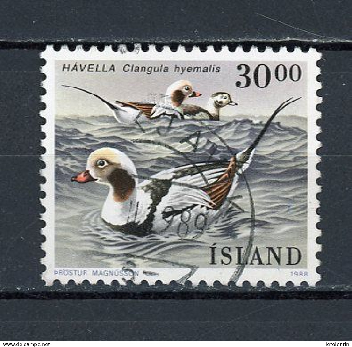 ISLANDE -  OISEAU - N° Yvert 644 Obli. - Gebruikt