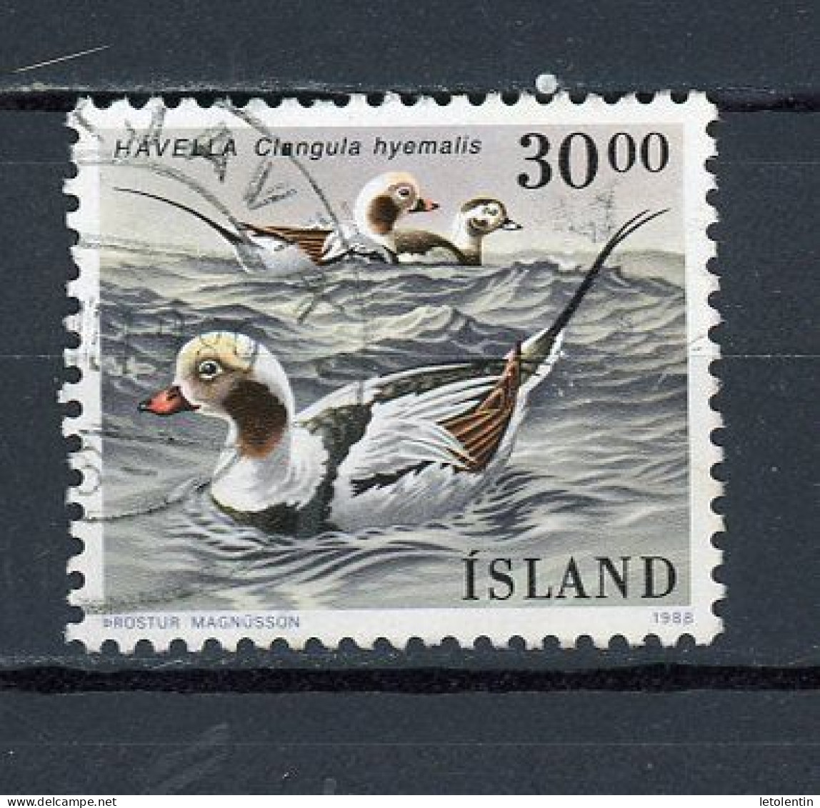 ISLANDE -  OISEAU - N° Yvert 644 Obli. - Oblitérés