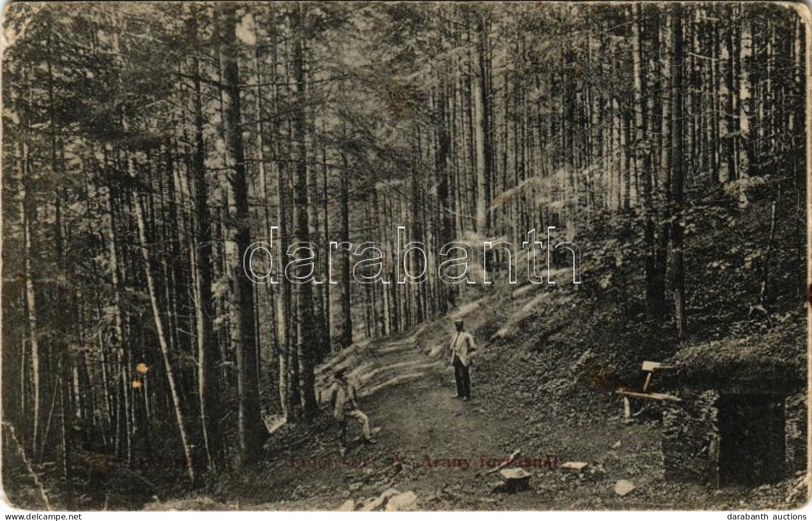 * T3 1908 Lőcsefüred, Levoca Kúpele; Erdő Az Arany-forrásnál. Singer Kiadása / Forest With Spring (Rb) - Non Classés