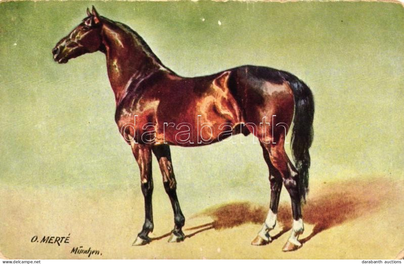 * T2/T3 Horse, A.S.M. Serie 535. S: O. Merté (EK) - Non Classificati