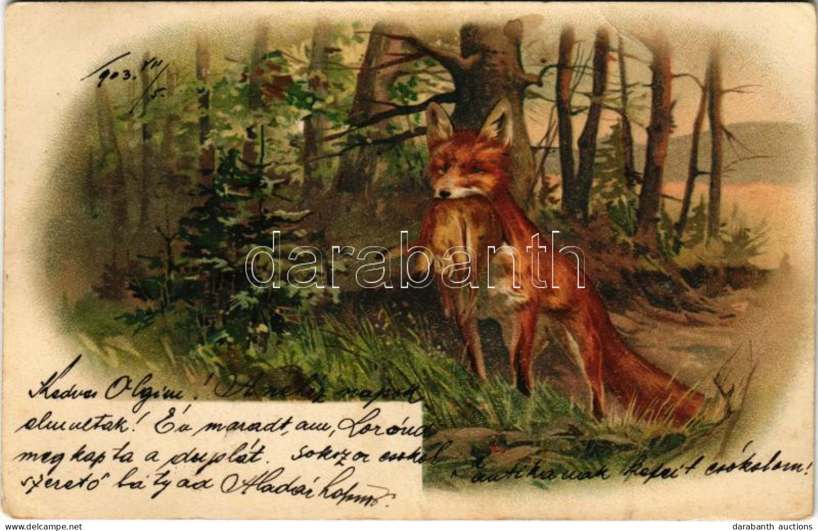 T2/T3 1903 Vadászó Róka / Hunting, Fox. Litho (EK) - Sin Clasificación