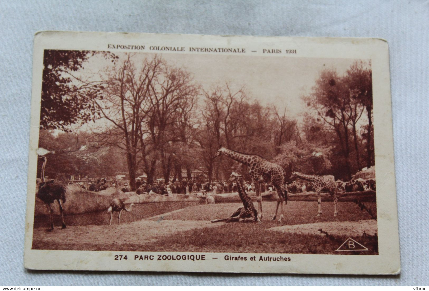 Paris 75, Parc Zoologique, Girafes Et Autruches, Animaux - Giraffen