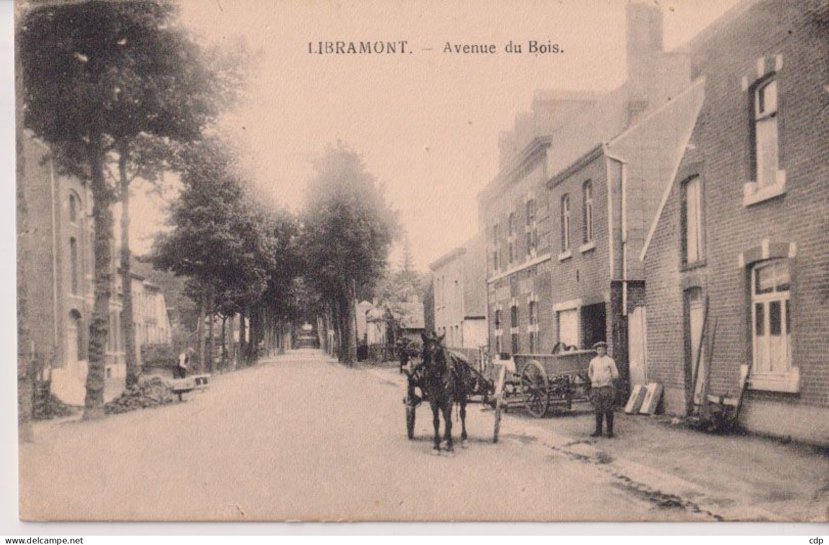 Cpa Libramont    Attelage   1919 - Libramont-Chevigny