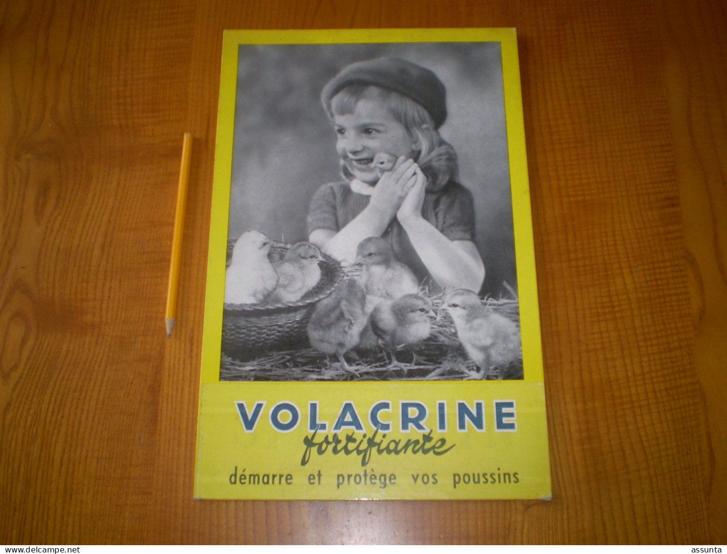 Plaque Publicitaire En Carton épais: VOLACRINE Aliments Pour Poussins, Présentoir à Poser - Plaques En Carton