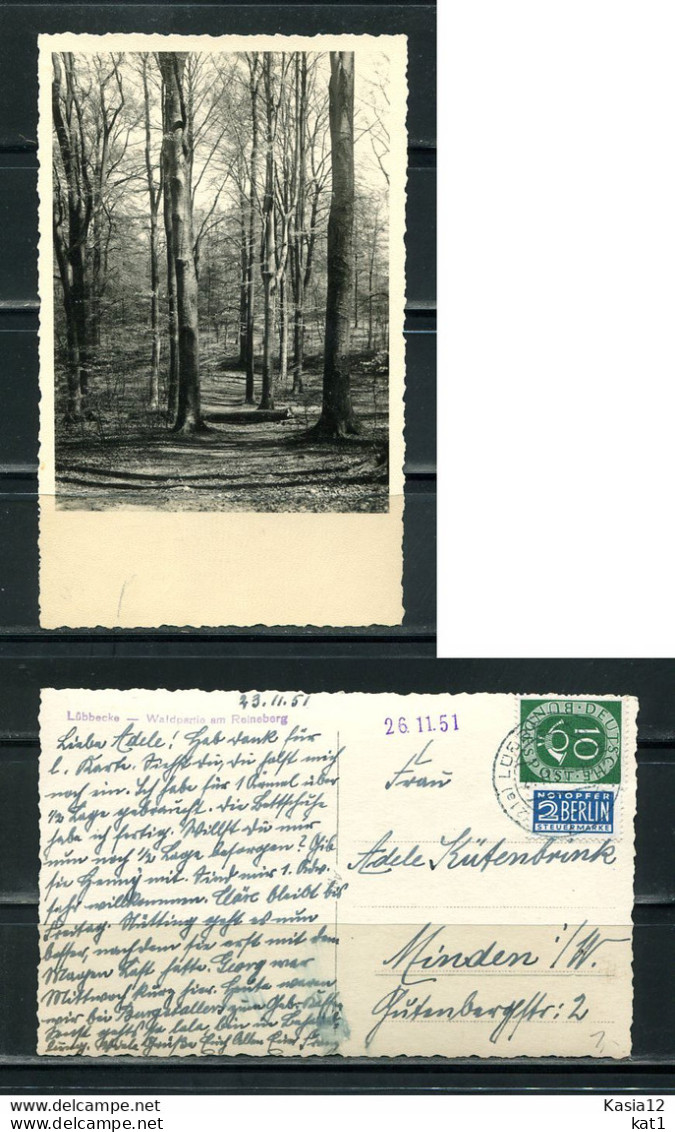 K13799)Ansichtskarte: Luebbecke, Waldpartie Am Reineberg, Gelaufen 1951 - Lübbecke