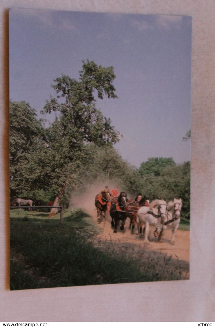 Cpm, Juvigny Sous Andaine, La Michaudière, Ferme Du Cheval De Trait, Orne 61 - Juvigny Sous Andaine