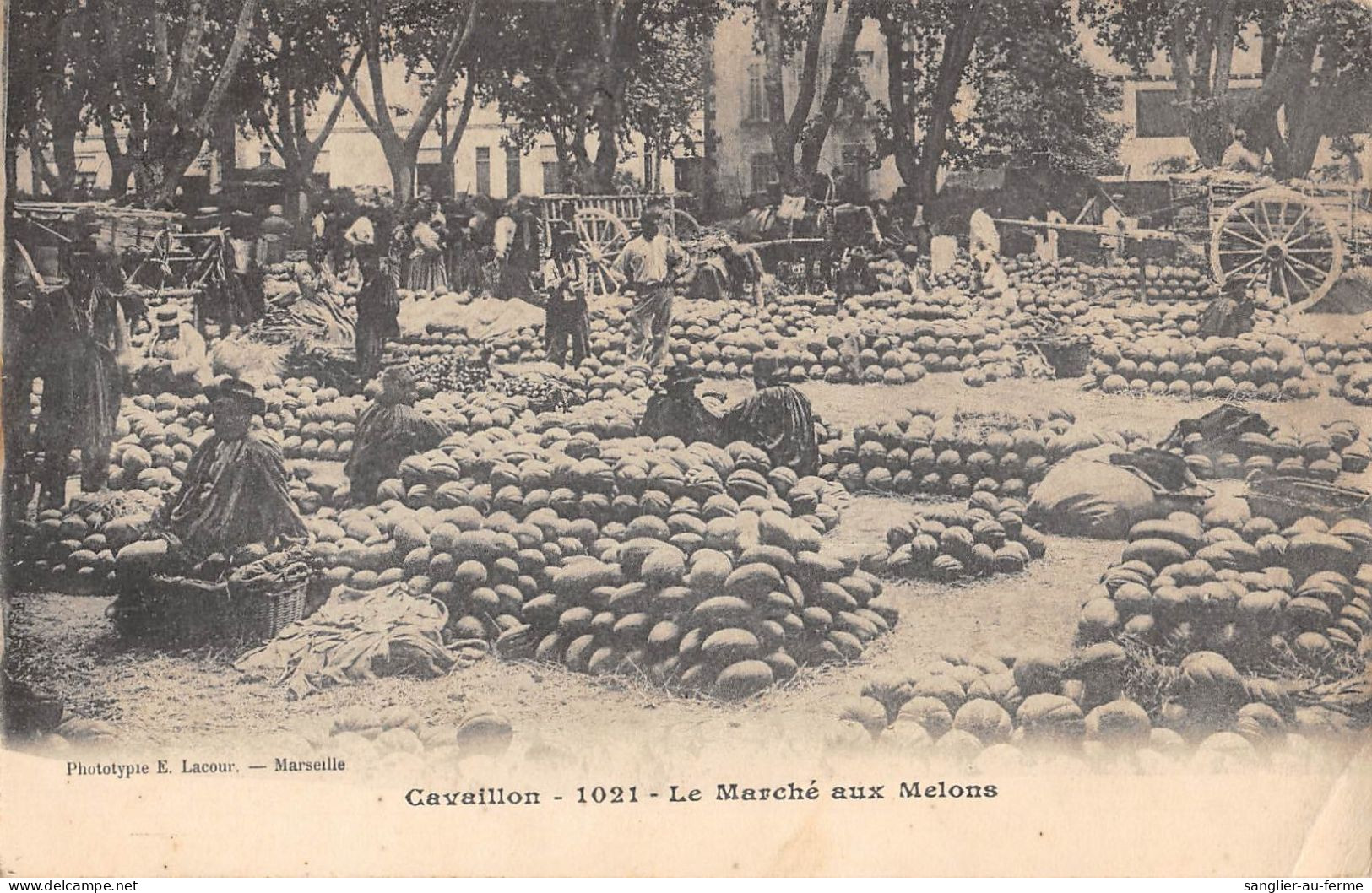 CPA 84 CAVAILLON / LE MARCHE AUX MELONS - Cavaillon