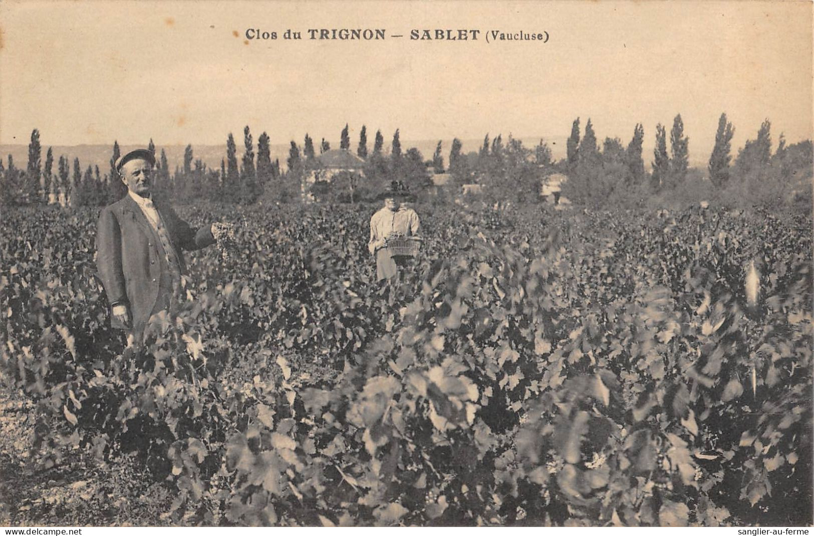 CPA 84 CLOS DU TRIGNON / SABLET - Other & Unclassified