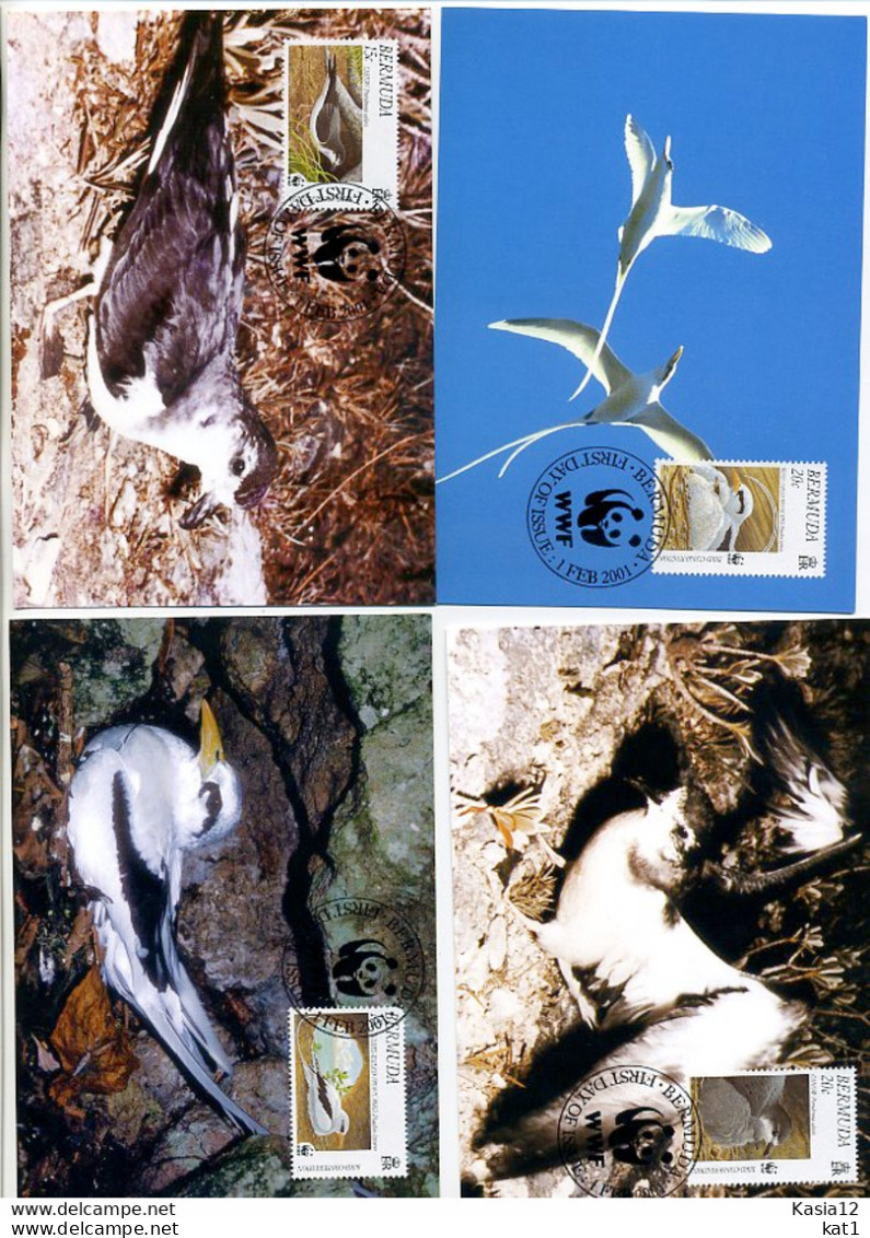 A41626)WWF-Maximumkarte Vogel: Bermuda 785 - 788 - Cartoline Maximum