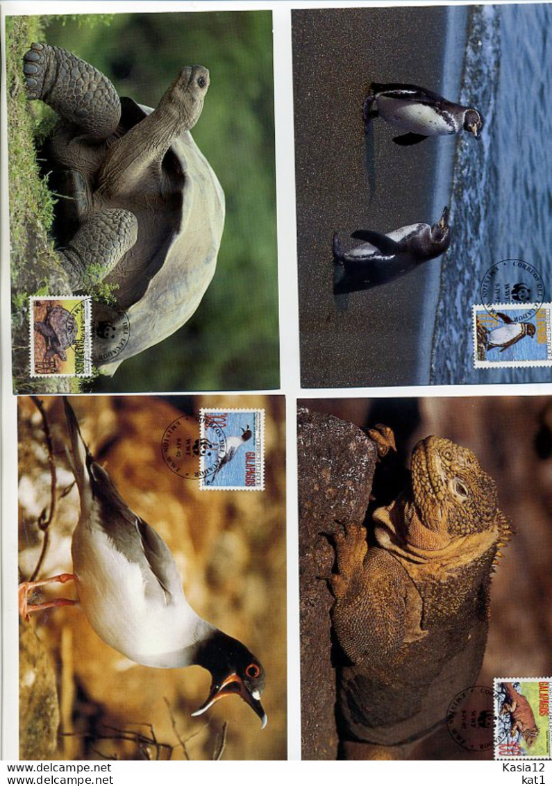 A41638)WWF-Maximumkarte Vogel: Ecuador 2207 - 2209 + 2212 - Maximum Cards