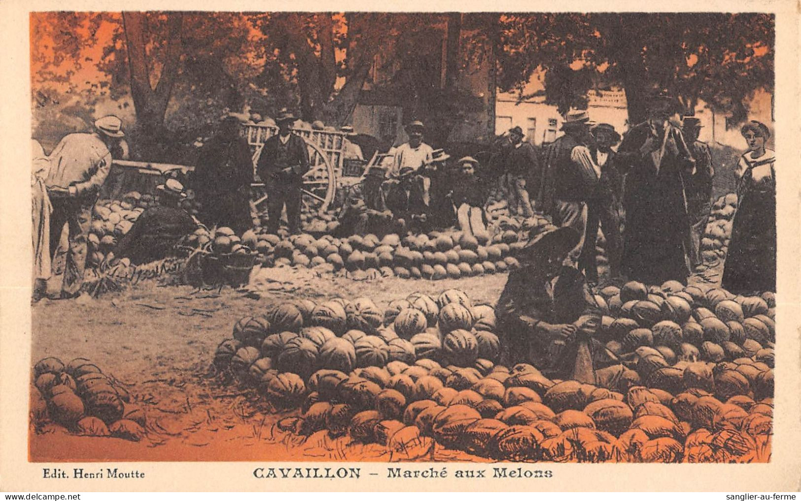 CPA 84 CAVAILLON LE MARCHE AUX MELONS - Cavaillon