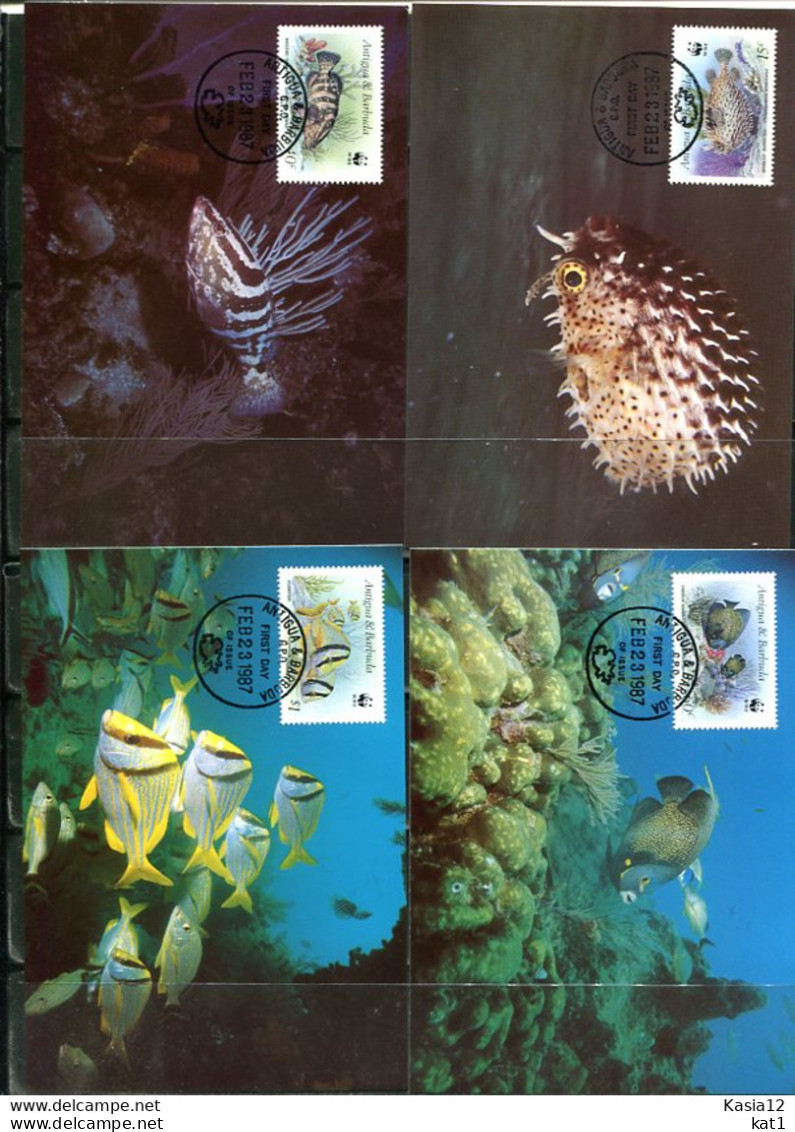 A51339)WWF-Maximumkarten Fische: Antigua + Barbuda 1010 - 1013 - Maximumkarten