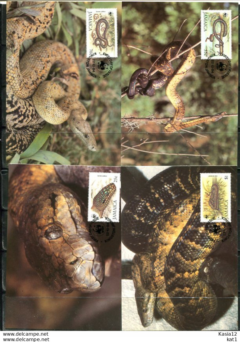 A51343)WWF-Maximumkarten Reptilien: Jamaika 591 - 594 - Maximumkarten