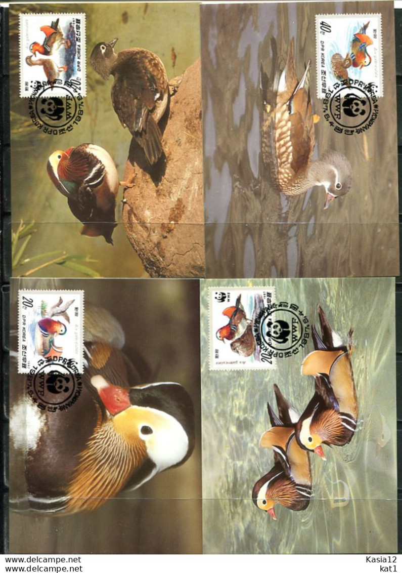 A51347)WWF-Maximumkarten Vogel: Korea 2865 - 2868 - Cartes-maximum