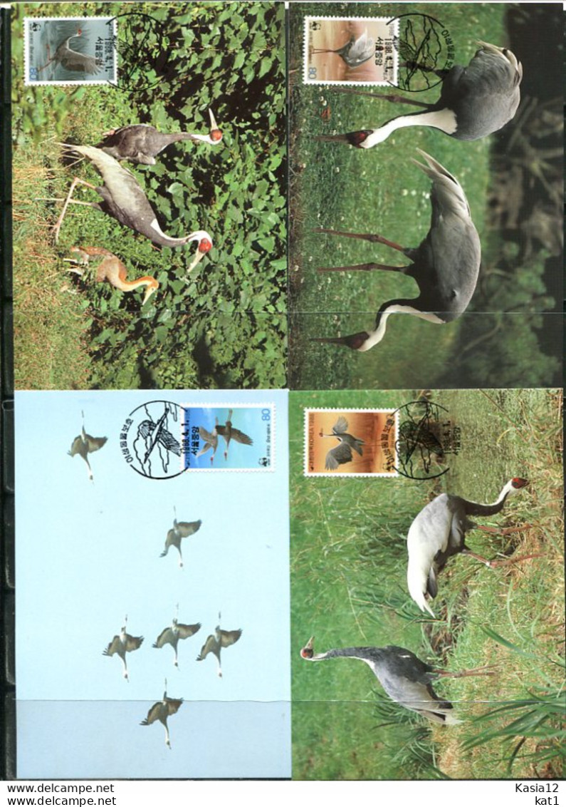 A51348)WWF-Maximumkarten Vogel: Suedkorea 1553 - 1556 - Maximumkarten